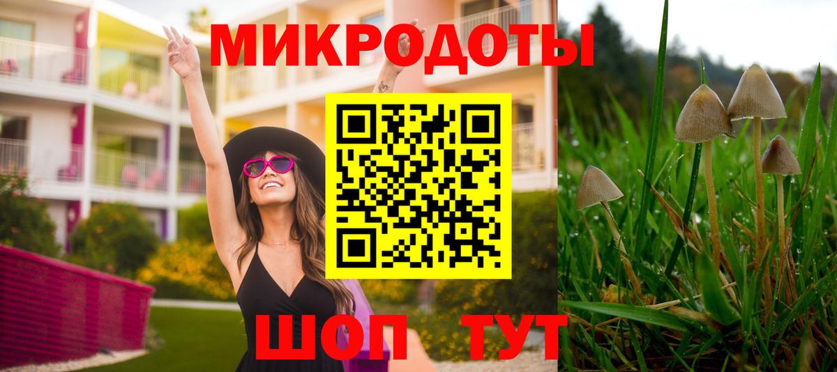 Кинель  Галлюциногенные грибы мухоморы  Вход с VPN 